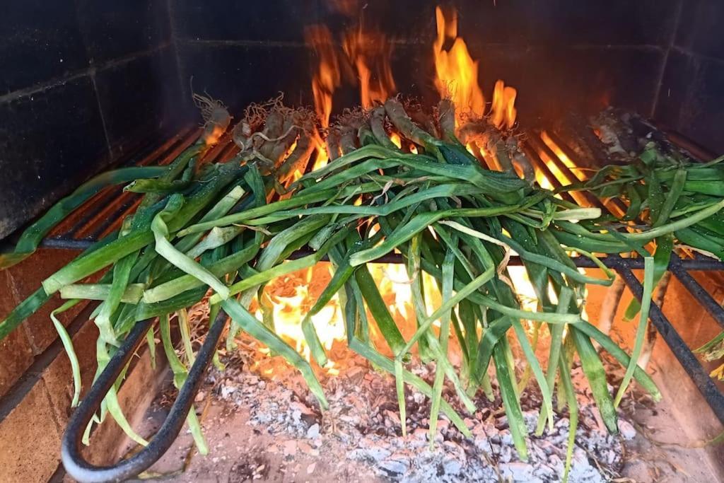 הוילה קוניט Mas Del Vent- Barbacoa, Jardin, Piscina Privada Y Vistas A Mar מראה חיצוני תמונה